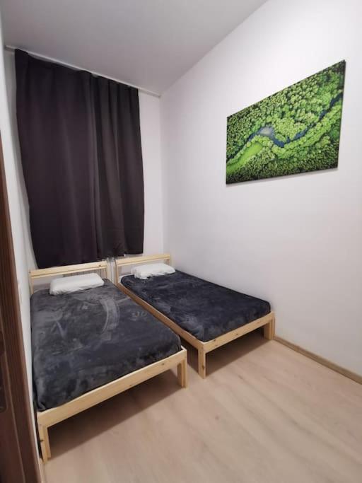 Apartment Cool Вена Экстерьер фото